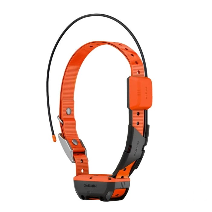 obroza-garmin-do-nawigacji-psow-alpha-t-20-k-a79f76d1d3e54698a51273b8bb239009-7d5859b8.jpg