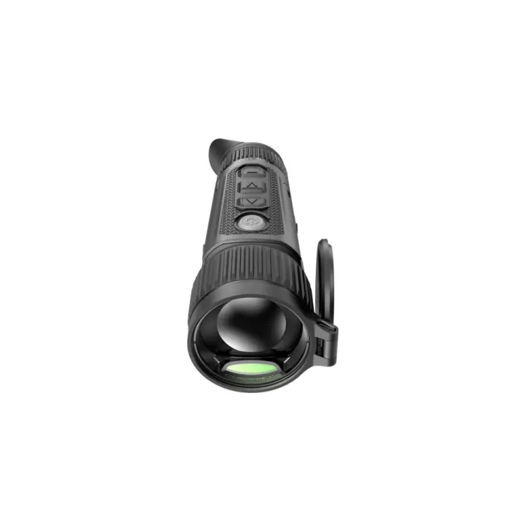 217-large_default.webp