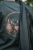40519-0030_d03.jpg