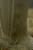 11059-0001_d03.jpg